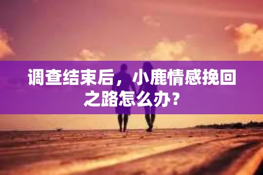 调查结束后，小鹿情感挽回之路怎么办？