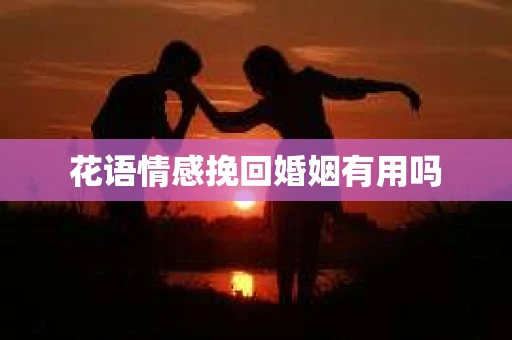 花语情感挽回婚姻有用吗