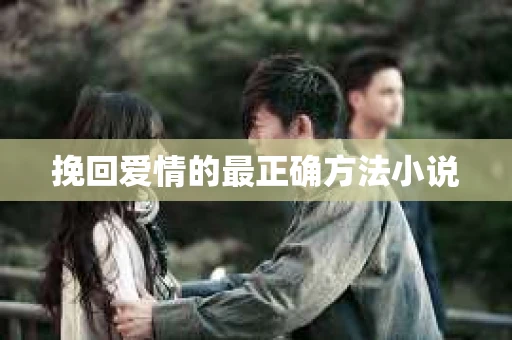 挽回爱情的最正确方法小说