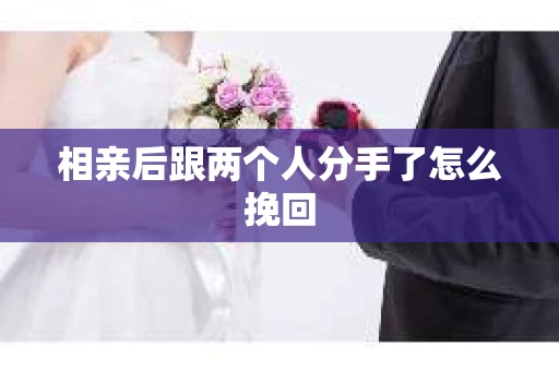 相亲后跟两个人分手了怎么挽回