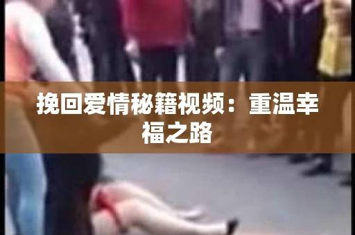 挽回爱情秘籍视频：重温幸福之路