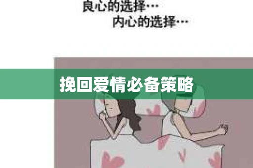 挽回爱情必备策略