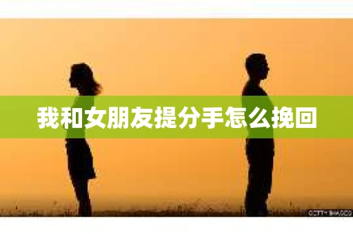 我和女朋友提分手怎么挽回
