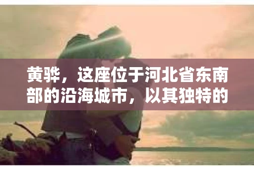 黄骅，这座位于河北省东南部的沿海城市，以其独特的地理位置和丰富的历史文化而闻名。然而，在这座城市中，还有一群人，他们以另一种方式默默守护着社会的公平与正义——私家侦探。今天，我们就来聊聊黄骅的私家侦探，看看他们是如何在这个城市中发挥作用的。