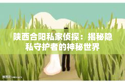 陕西合阳私家侦探：揭秘隐私守护者的神秘世界