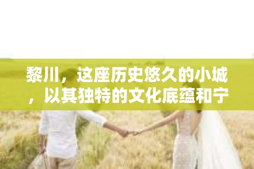 黎川，这座历史悠久的小城，以其独特的文化底蕴和宁静的生活节奏吸引着无数游客。然而，在这样一个看似平静的城市里，你是否会好奇，有没有私家侦探机构的存在呢？今天，就让我带你一探究竟。