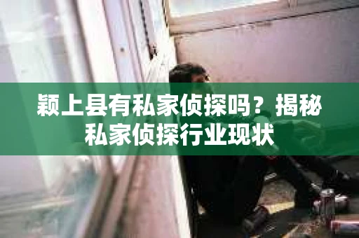 颖上县有私家侦探吗？揭秘私家侦探行业现状