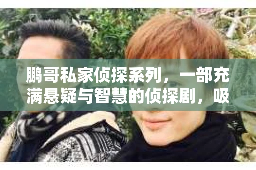 鹏哥私家侦探系列，一部充满悬疑与智慧的侦探剧，吸引了无数观众的眼球。今天，就让我带你走进这个充满神秘色彩的侦探世界，一起在线观看鹏哥私家侦探系列，感受那扣人心弦的故事情节。