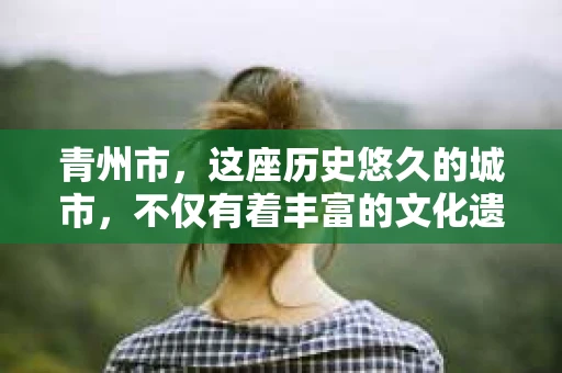 青州市，这座历史悠久的城市，不仅有着丰富的文化遗产，也有着现代生活的便捷。那么，问题来了——青州市有私家侦探公司吗？这个问题，对于需要侦探服务的人来说，无疑至关重要。接下来，我就来为大家揭开这个谜底。
