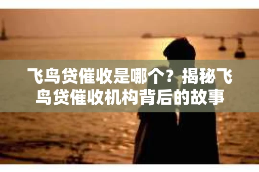 飞鸟贷催收是哪个？揭秘飞鸟贷催收机构背后的故事