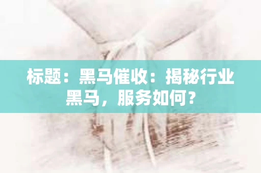 标题：黑马催收：揭秘行业黑马，服务如何？