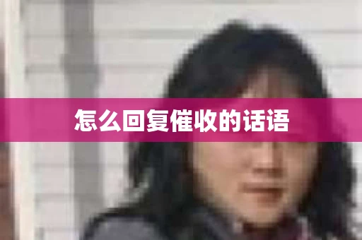 怎么回复催收的话语