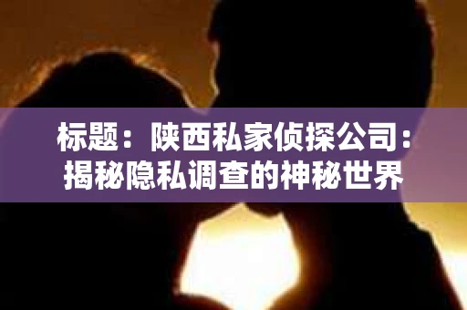 标题：陕西私家侦探公司：揭秘隐私调查的神秘世界