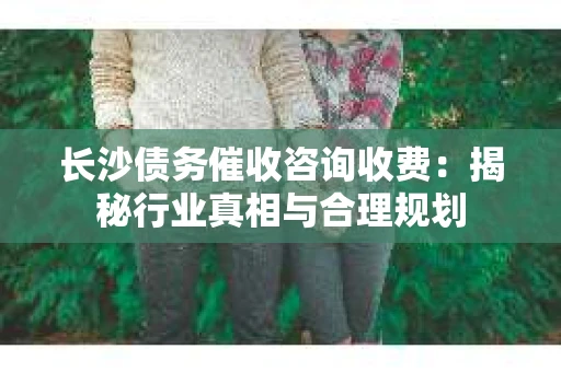 长沙债务催收咨询收费：揭秘行业真相与合理规划