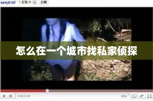 怎么在一个城市找私家侦探
