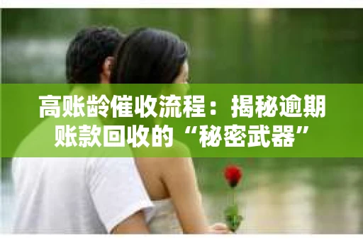 高账龄催收流程：揭秘逾期账款回收的“秘密武器”