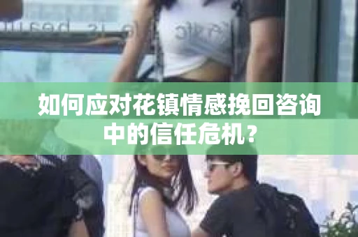 如何应对花镇情感挽回咨询中的信任危机？
