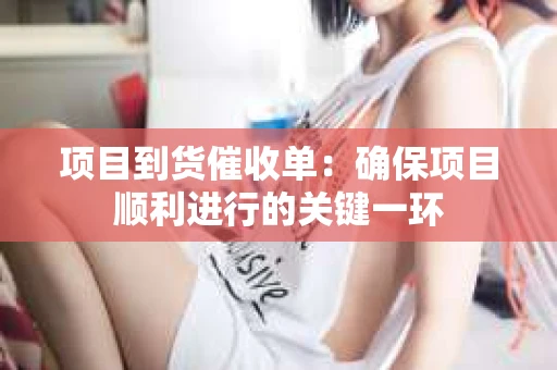 项目到货催收单：确保项目顺利进行的关键一环