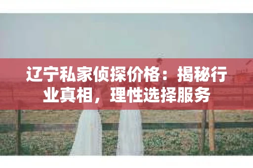 辽宁私家侦探价格：揭秘行业真相，理性选择服务