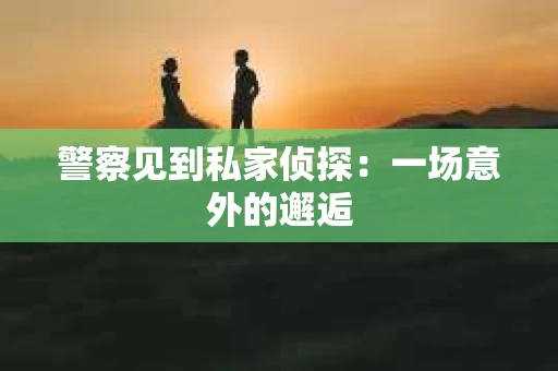 警察见到私家侦探：一场意外的邂逅
