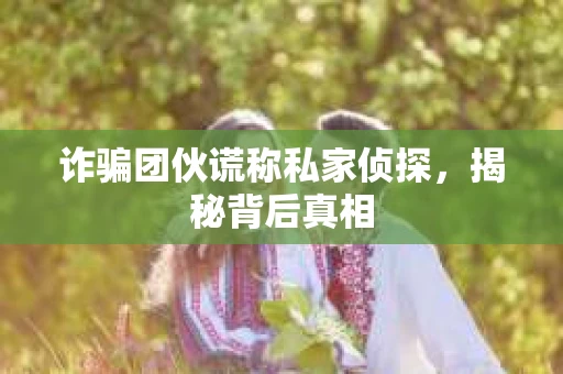 诈骗团伙谎称私家侦探，揭秘背后真相