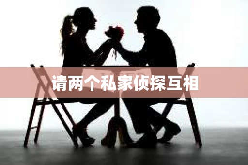 请两个私家侦探互相