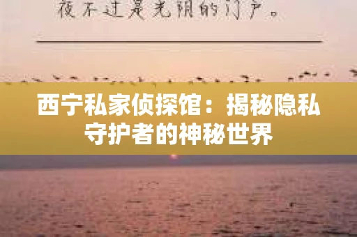 西宁私家侦探馆：揭秘隐私守护者的神秘世界