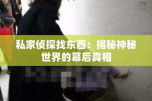 私家侦探找东西：揭秘神秘世界的幕后真相