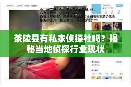 茶陵县有私家侦探社吗？揭秘当地侦探行业现状
