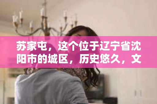 苏家屯，这个位于辽宁省沈阳市的城区，历史悠久，文化底蕴深厚。近年来，随着社会的发展，人们对于私家侦探的需求也逐渐增加。那么，苏家屯有私家侦探吗？今天，我们就来聊聊这个话题。