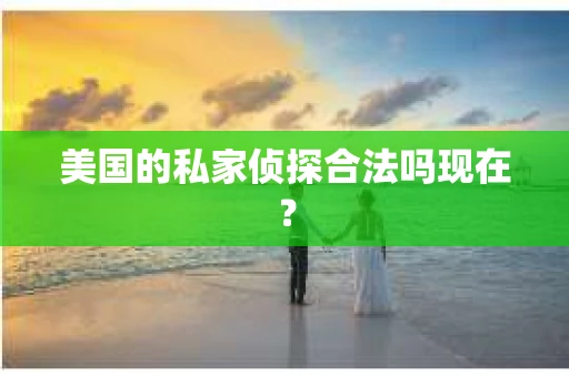 美国的私家侦探合法吗现在？