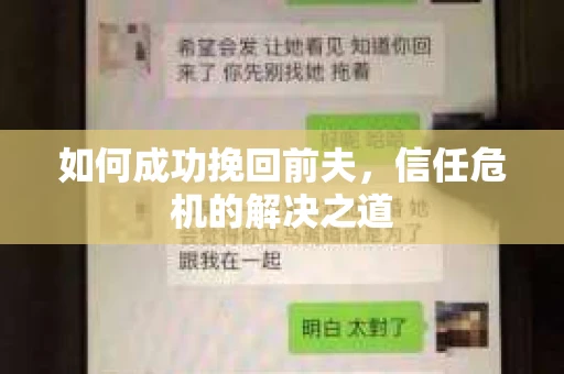 如何成功挽回前夫，信任危机的解决之道