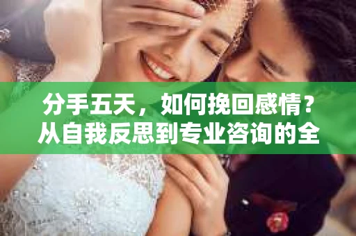 分手五天，如何挽回感情？从自我反思到专业咨询的全面解决方案