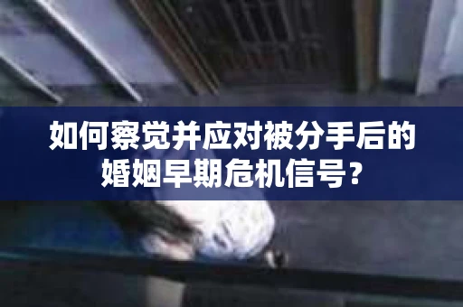 如何察觉并应对被分手后的婚姻早期危机信号？