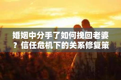婚姻中分手了如何挽回老婆？信任危机下的关系修复策略