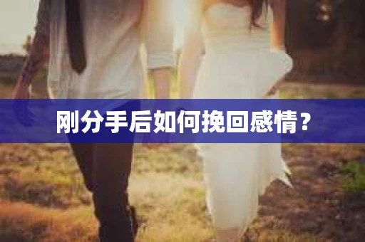 刚分手后如何挽回感情？